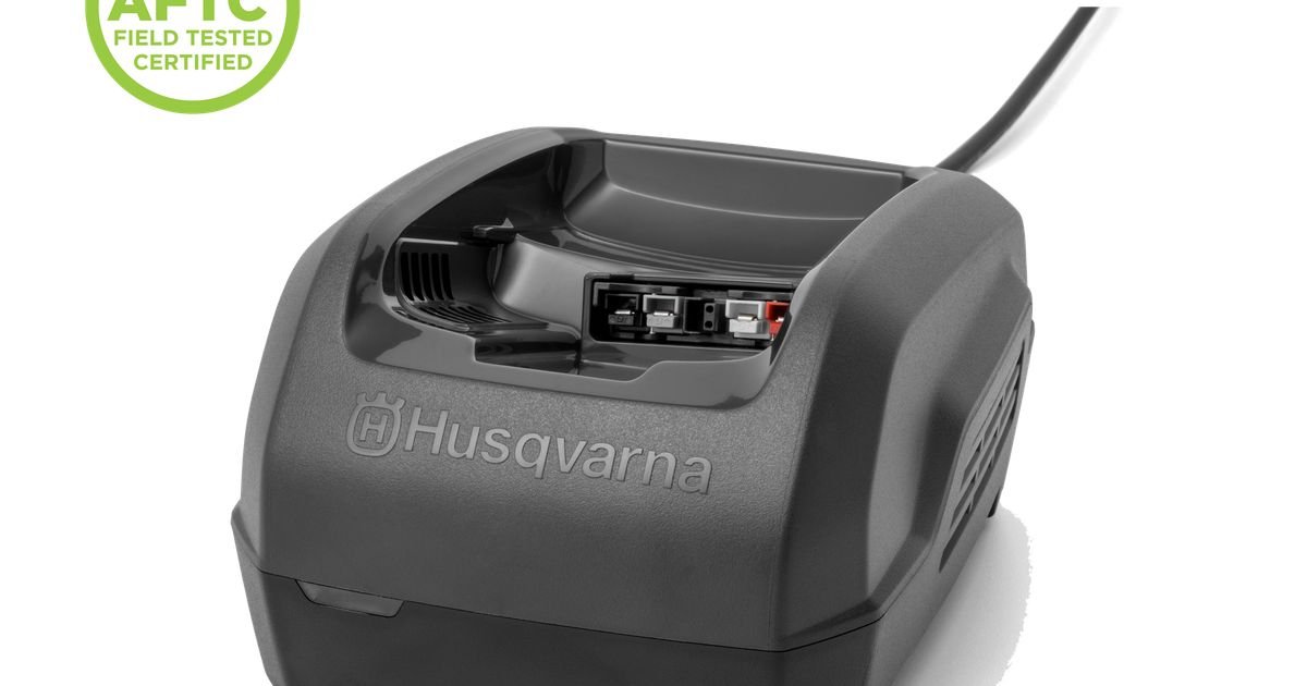 Cargador Husqvarna QC250